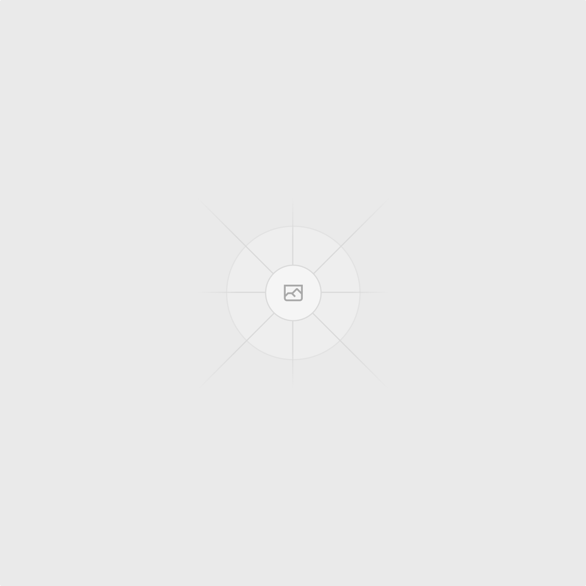 Roberto Matta